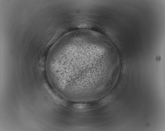 X0000112210273200908211525