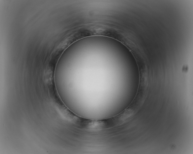 X0000112210274200908211525