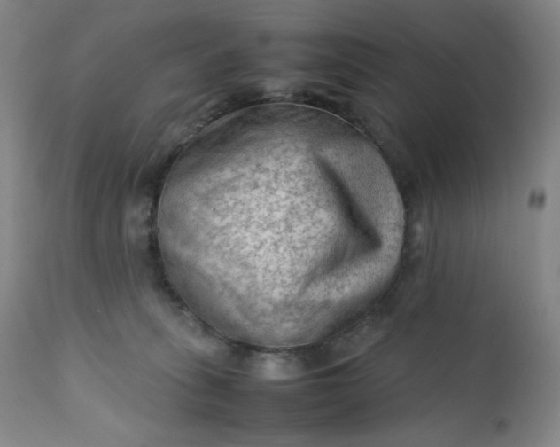 X0000112210275200908211525