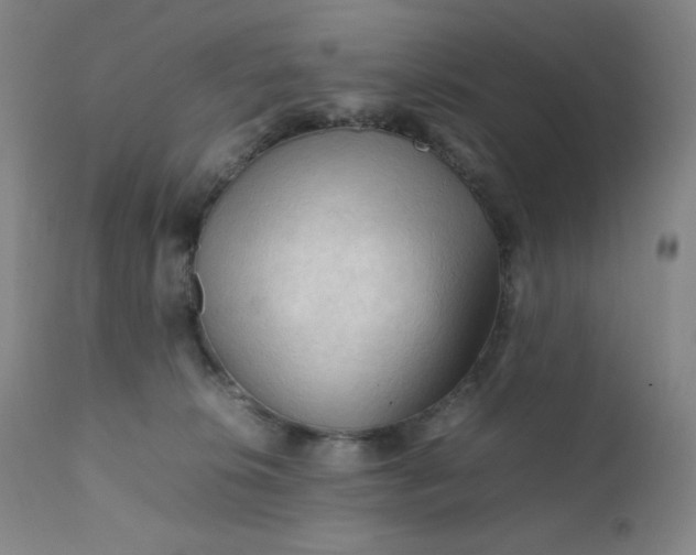 X0000112210276200908211525