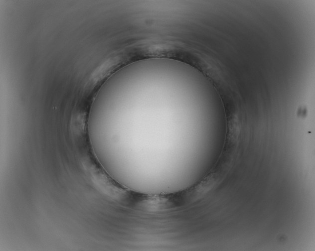 X0000112210278200908211526