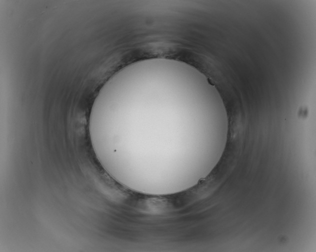 X0000112210279200908211526