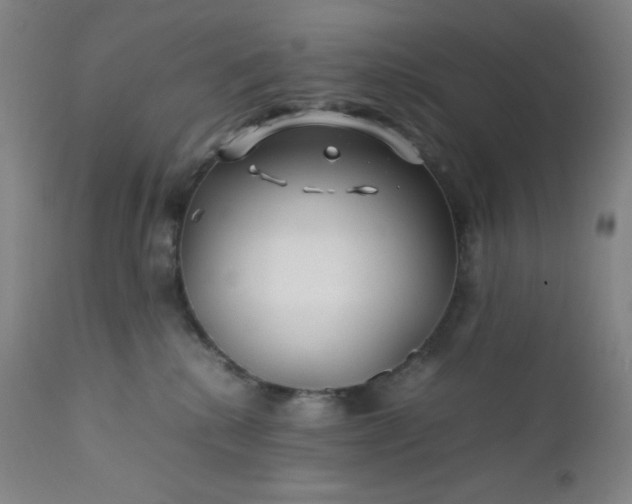 X0000112210280200908211526