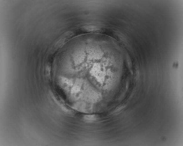 X0000112210281200908211526