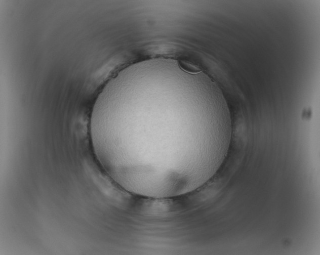 X0000112210282200908211526