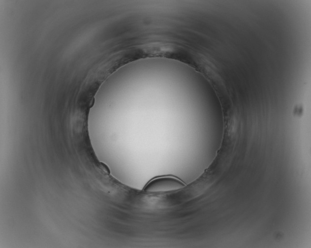 X0000112210283200908211526