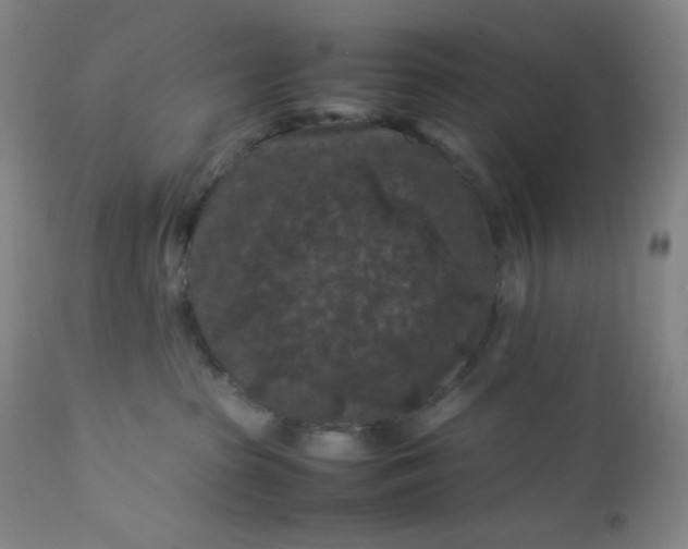 X0000112210285200908211526