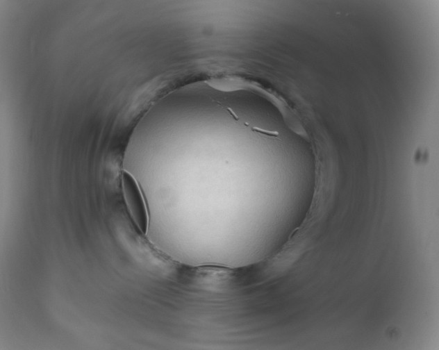 X0000112210288200908211526