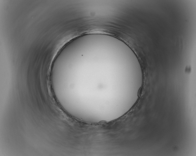 X0000112210289200908211525