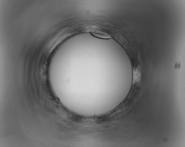 X0000112210291200908211525