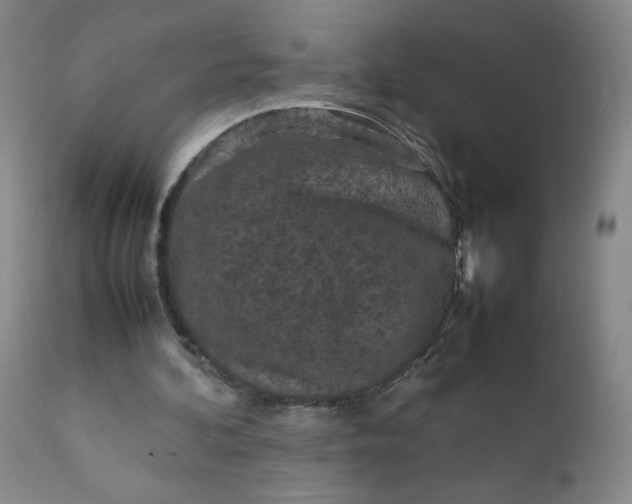 X0000112210292200908211525