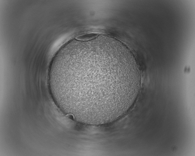 X0000112210293200908211525