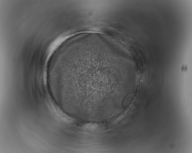 X0000112210294200908211525