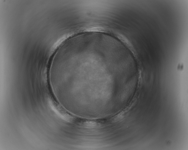 X0000112210298200908211525