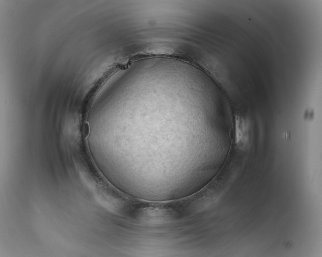 X0000112210300200908211525