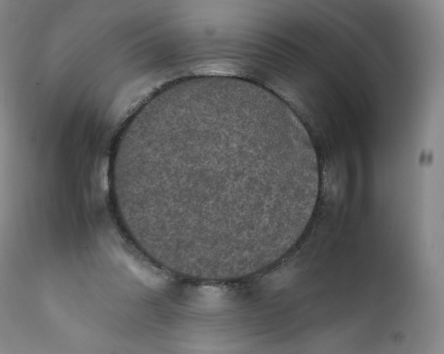 X0000112210302200908211525