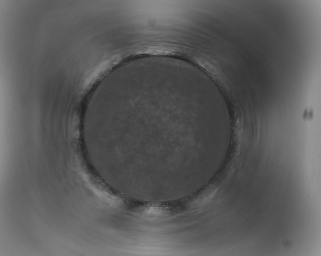 X0000112210303200908211525