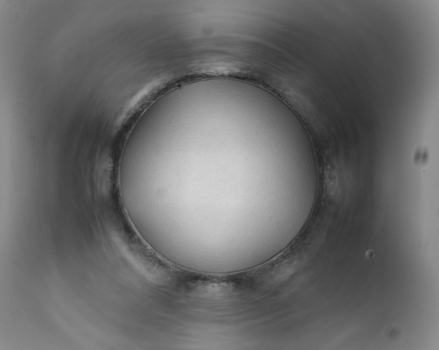 X0000112210304200908211525