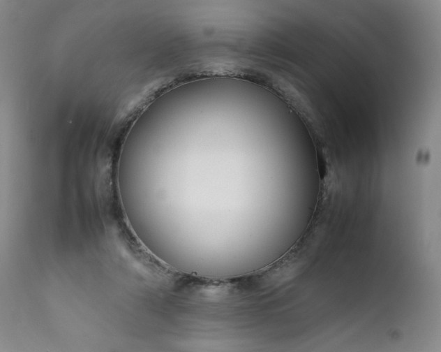 X0000112210306200908211525