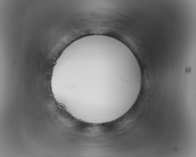 X0000112210307200908211525