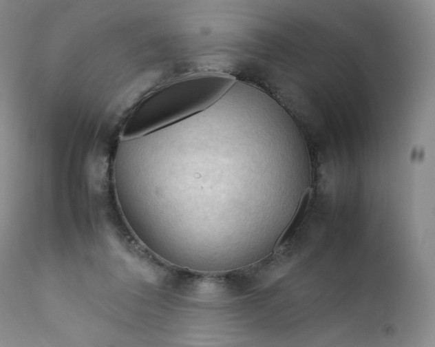 X0000112210308200908211525