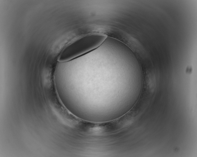 X0000112210312200908211525