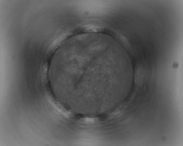 X0000112210314200908211525