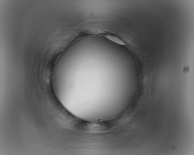 X0000112210315200908211525