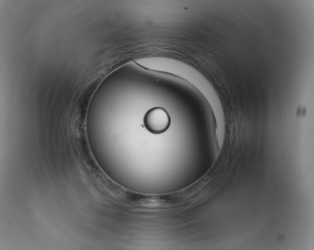 X0000112210316200908211525