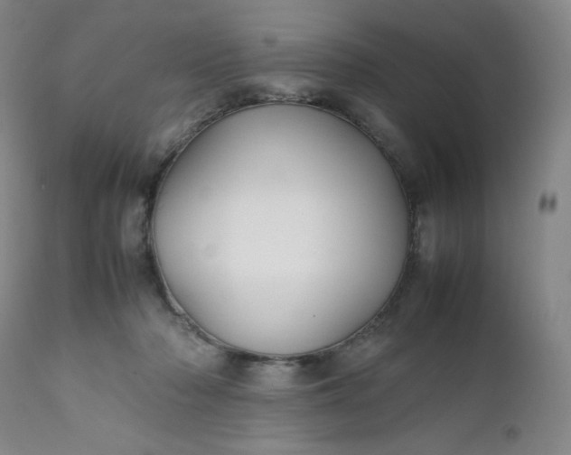 X0000112210318200908211525