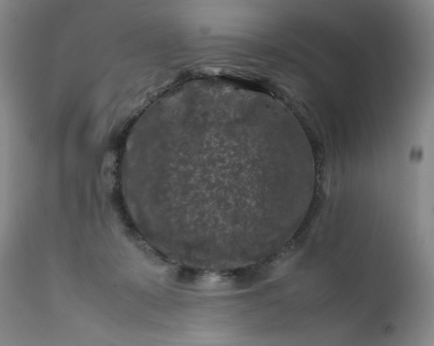 X0000112210319200908211525