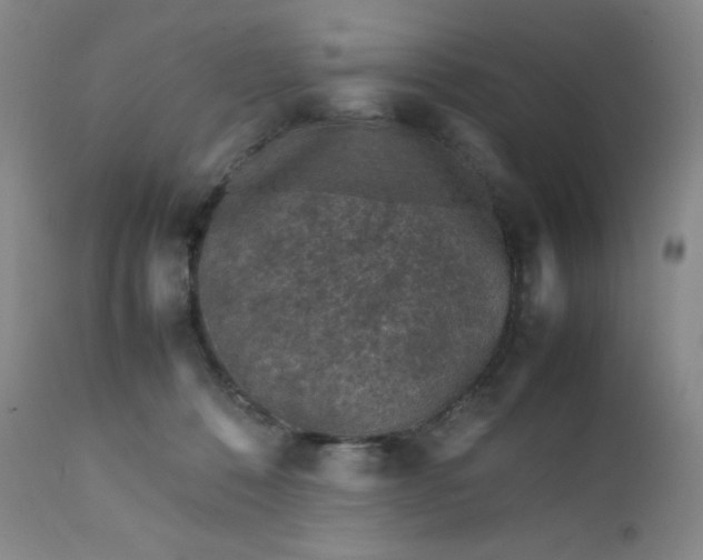 X0000112210320200908211525