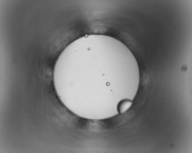 X0000112210321200908211525