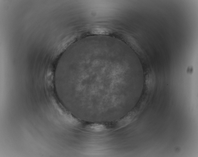 X0000112210322200908211525