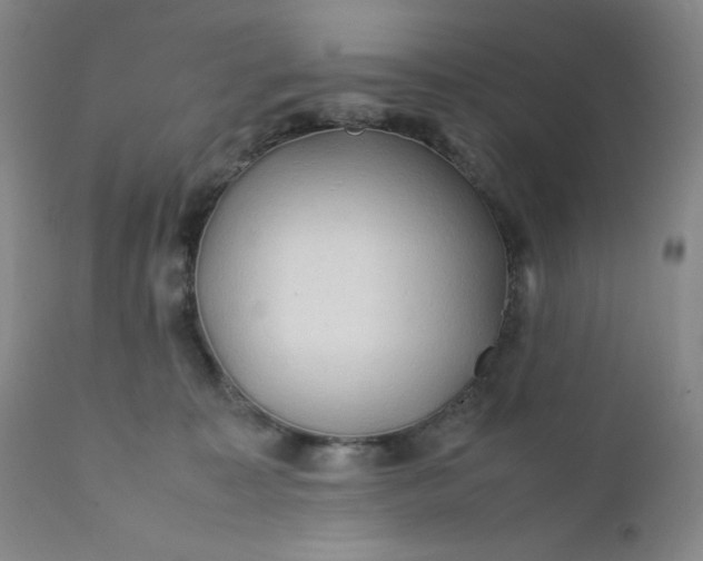 X0000112210323200908211525