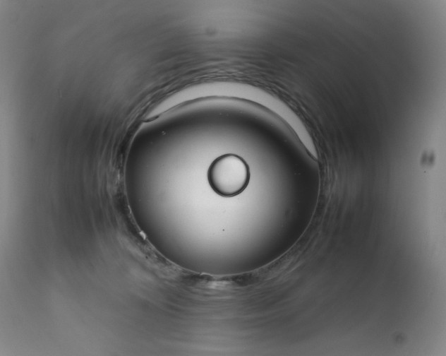 X0000112210324200908211524