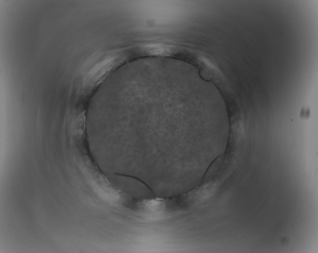 X0000112210325200908211524