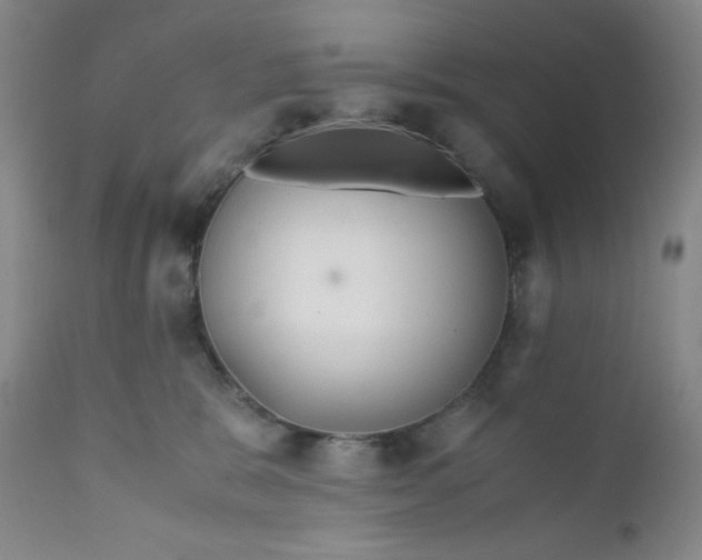 X0000112210327200908211524