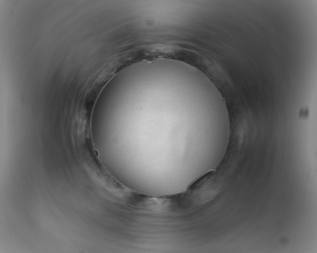 X0000112210328200908211524