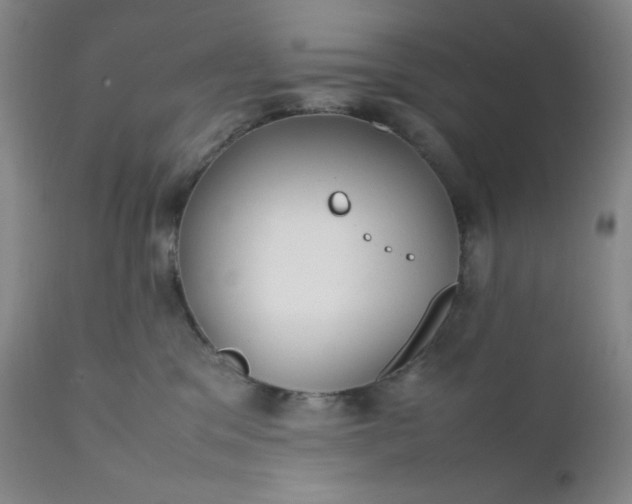 X0000112210329200908211524