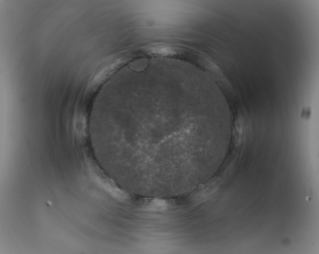 X0000112210330200908211524