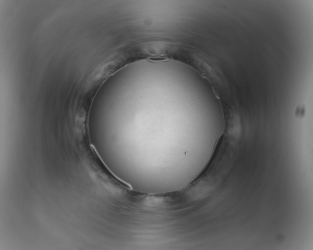 X0000112210332200908211524