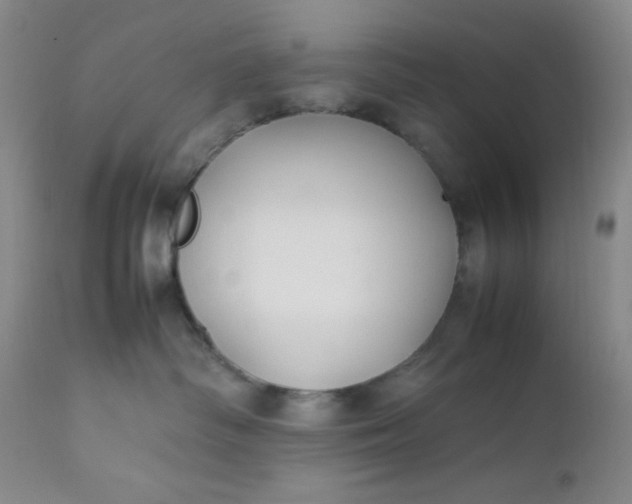 X0000112210334200908211524