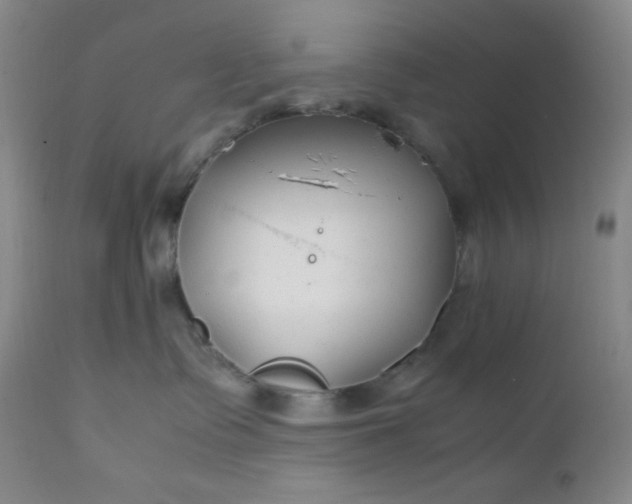 X0000112210335200908211524