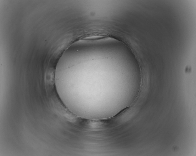 X0000112210336200908211524