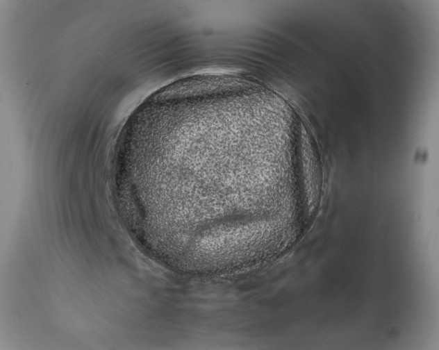 X0000112210337200908211523