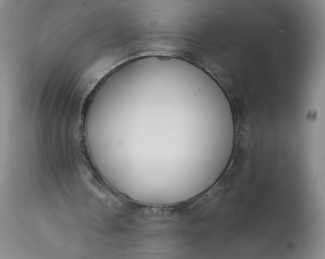 X0000112210338200908211524