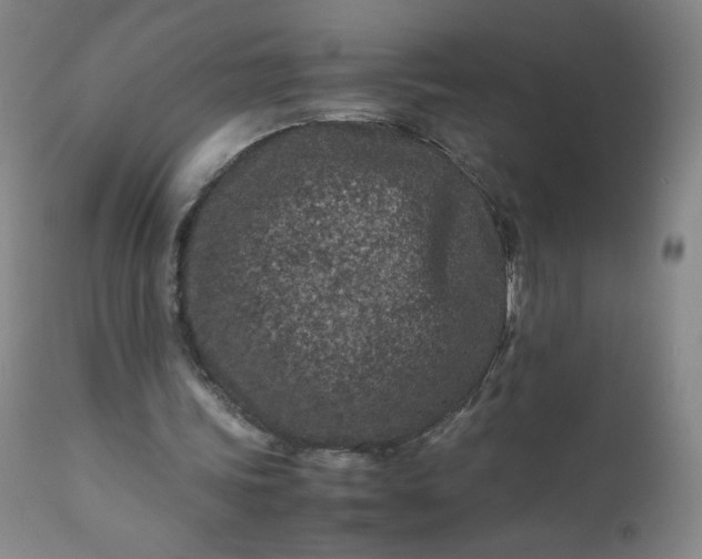 X0000112210339200908211524