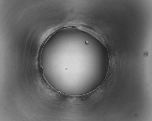 X0000112210340200908211524