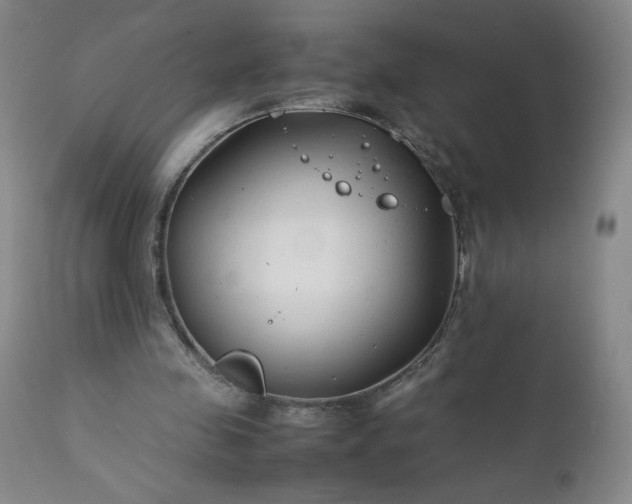 X0000112210341200908211524